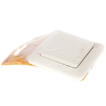 Picture of Slēdzis SL250 bēšs