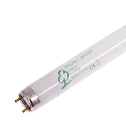 Picture of Spuldze LUMILUX 38W/840 G13