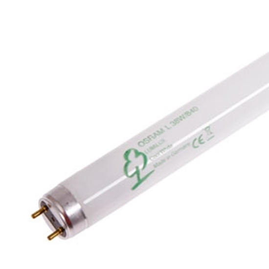 Picture of Spuldze LUMILUX 38W/840 G13