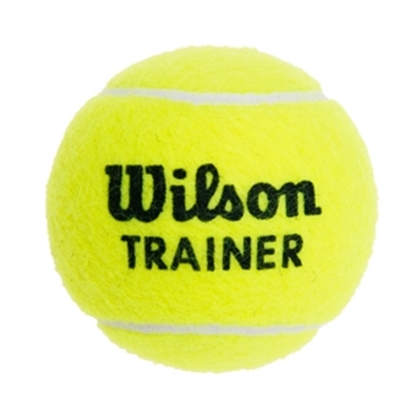 Attēls no Tenisa bumbiņa Wilson Trainer