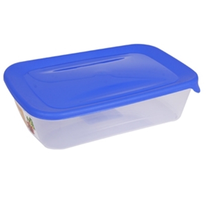 Attēls no Trauks sald.kam.Fresh&Go 1l taisnst.zils