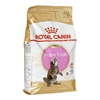 Picture of ROYAL CANIN Maine Coon Kitten- dry cat food - 4 kg