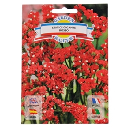 Attēls no Sēklas Limonija sarkana 0.3g