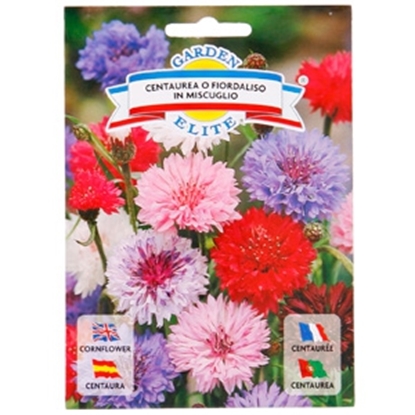 Picture of Sēklas rudzupuķes, mix 1g GS