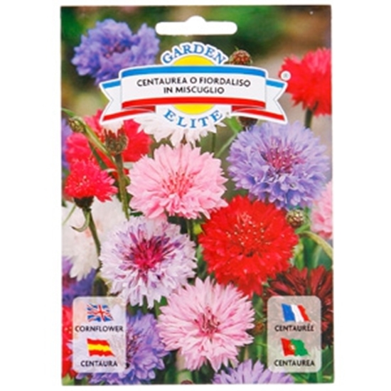 Picture of Sēklas rudzupuķes, mix 1g GS