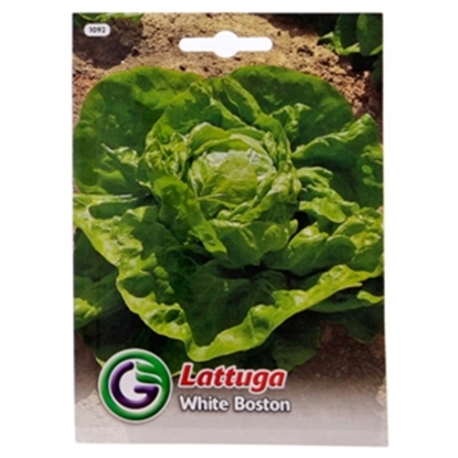 Picture of Sēklas Salāti Attraction 6.5g