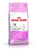 Picture of Royal Canin Mother & Babycat cats dry food 4 kg Adult Poultry