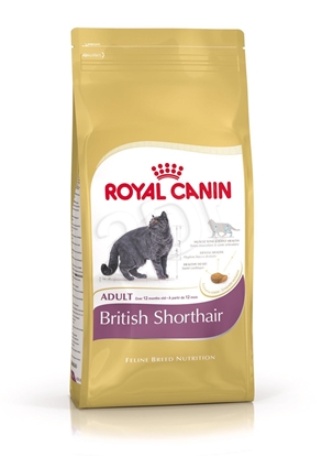Attēls no Royal Canin British Shorthair Kitten cats dry food 2 kg Poultry, Rice, Vegetable