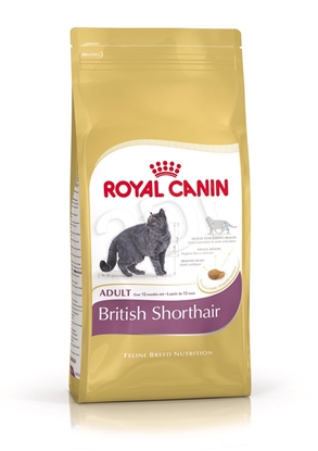 Picture of Royal Canin British Shorthair Kitten cats dry food 2 kg Poultry, Rice, Vegetable