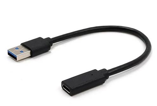 Изображение Gembird USB Male - USB Type C Female 0.1m Black