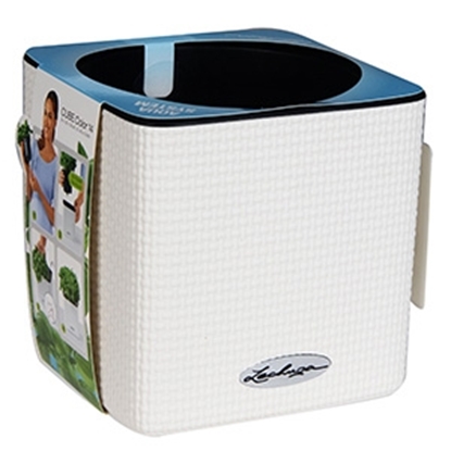 Attēls no Puķu pods Lechuza Cube Color 14 balts