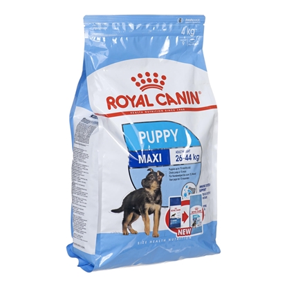 Attēls no Royal Canin SHN Maxi Puppy - dry puppy food - 4kg
