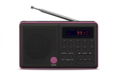 Picture of Radio Pliszka USB, FM czarne
