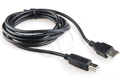 Изображение Gembird CCP-USB2-AMBM-6 USB cable 1.82 m USB A USB B Black