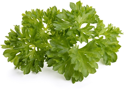 Picture of Click & Grow Smart Garden refill Parsley 3pcs