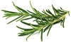 Picture of Click & Grow Smart Garden refill Rosemary 3pcs