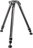 Picture of Gitzo tripod Systematic GT3533S