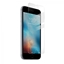 Изображение Nexeri Blue Line Mobile Phone Screen Protector For Apple iPhone 6 / 6S