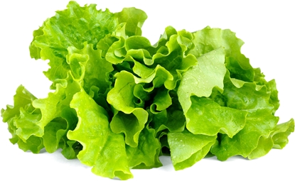 Attēls no Click & Grow Smart Garden refill Lettuce 3pcs