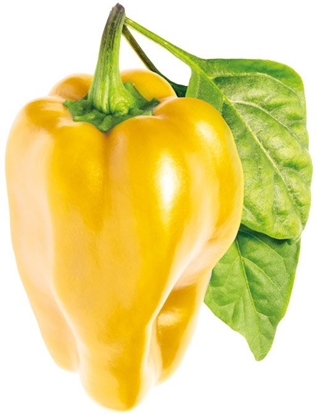 Attēls no Click & Grow Smart Garden refill Yellow Sweet Pepper 3pcs