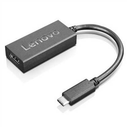 Picture of Lenovo 4X90R61023 video cable adapter 0.225 m DisplayPort HDMI Type A (Standard) Black
