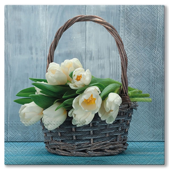 Picture of Salvetes 33x33cm Tulips