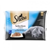 Изображение Barība kaķiem Sheba zivju izlase 4x85g