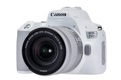 Attēls no Canon EOS 250D + EF-S 18-55mm f/4-5.6 IS STM SLR Camera Kit 24.1 MP CMOS 6000 x 4000 pixels White