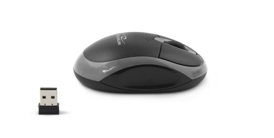 Picture of Esperanza Titanum mouse Ambidextrous RF Wireless Optical 1000 DPI