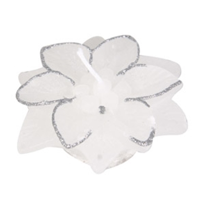 Picture of Svece Ziemassvētku zvaigznīte balta