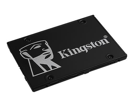 Picture of Kingston 256GB SKC600/256G