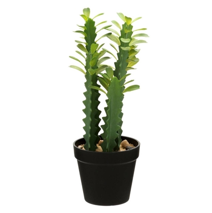Picture of Mākslīgie ziedi 4Living Kaktus podiņā 35cm