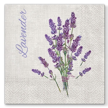 Изображение Salvetes 33x33cm Lavender