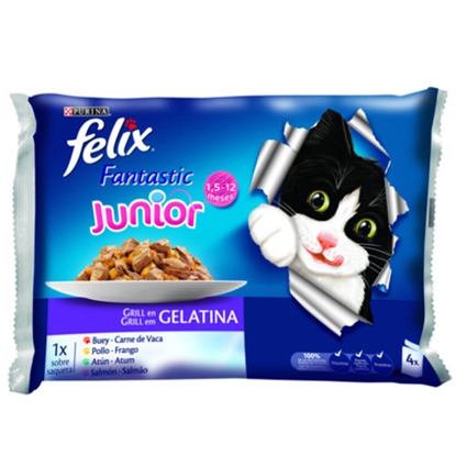 Attēls no Konservi kaķiem Friskies Junior 4x85g