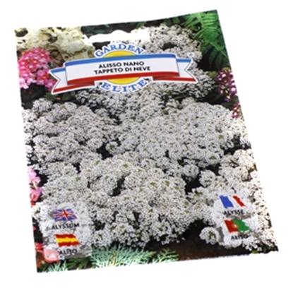 Attēls no Sēklas Alises baltas 0.5g