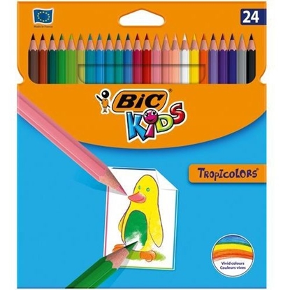 Obrazek BIC Colored pencils TROPICOLORS Pouch 24 pcs, 022510