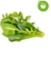 Изображение Click & Grow Plant Pod Salad Mix 9pcs