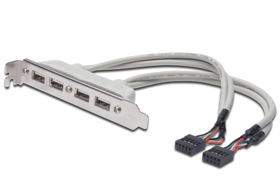 Picture of Kabel na śledziu USB 2.0 HighSpeed Typ 2xIDC (5pin)/4xUSB A M/Ż szary 0,25m