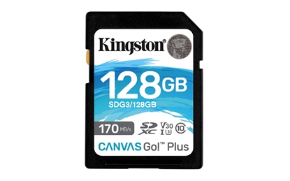 Attēls no Kingston Canvas GO Plus 128GB 