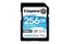 Picture of Kingston Canvas Go Plus 256GB 
