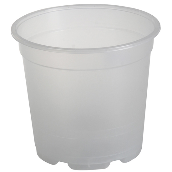 Picture of Puķu pods orhideju MCH 17