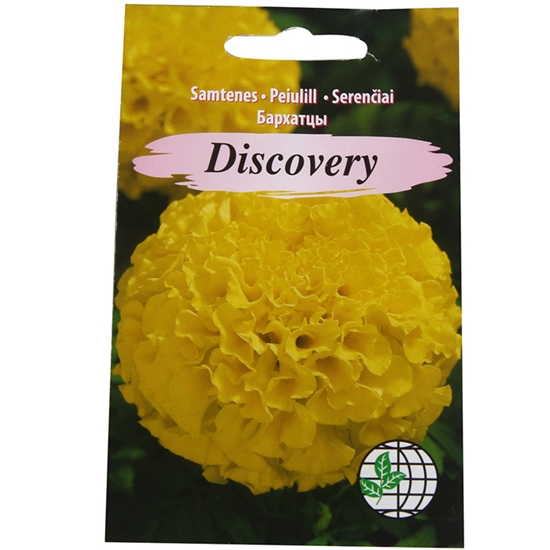 Picture of Sēklas Samtenes Discovery AMC 20 sēklas