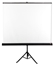 Picture of Avtek Tripod Standart 175 projection screen 1:1