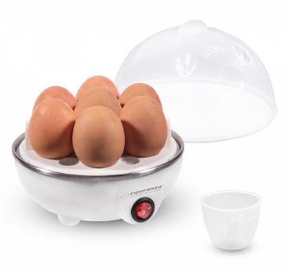 Obrazek Esperanza EKE001 egg cooker 7 egg(s) 350 W White