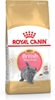 Picture of Royal Canin British Shorthair Kitten cats dry food 2 kg Poultry, Rice, Vegetable