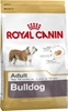 Изображение ROYAL CANIN Bulldog Adult - dry dog food - 12 kg