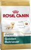 Picture of ROYAL CANIN Golden Retriever Puppy - dry dog food - 12 kg