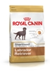 Picture of ROYAL CANIN Labrador Retriever Sterilised Adult - dry dog food - 12kg