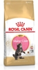 Picture of ROYAL CANIN Maine Coon Kitten- dry cat food - 4 kg