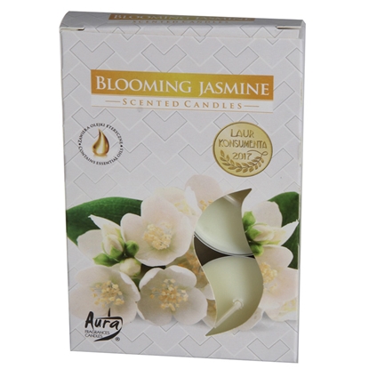 Attēls no Tējassvece Aura Blooming Jasmine 3-4h 6gab.